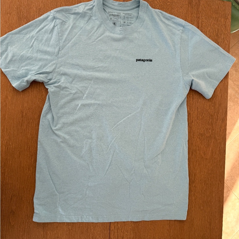 Patagonia Men's light Blue Short Sleeve Tee